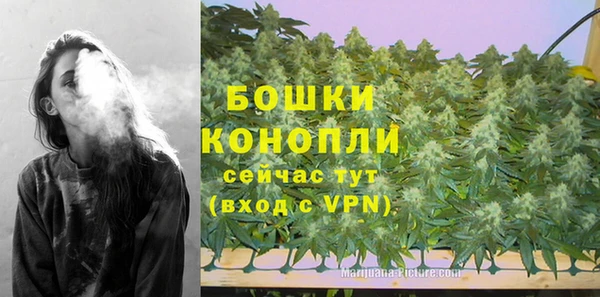 МДМА Ельня