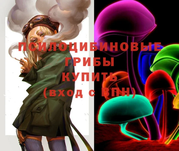 соль курить ск Дмитровск