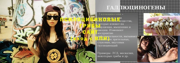 герыч Дмитриев