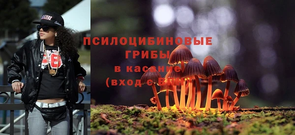 герыч Дмитриев